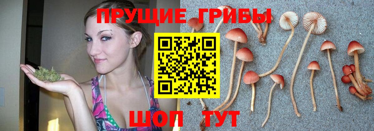 Псилоцибиновые грибы мицелий  Галлюциногенные грибы Psilocybe  Вход с VPN  Борзя 